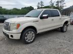 2009 Ford F150 Supercrew de vânzare în Augusta, GA - Rear End