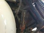 1997 HARLEY-DAVIDSON FLSTS    for sale at Copart MO - SIKESTON
