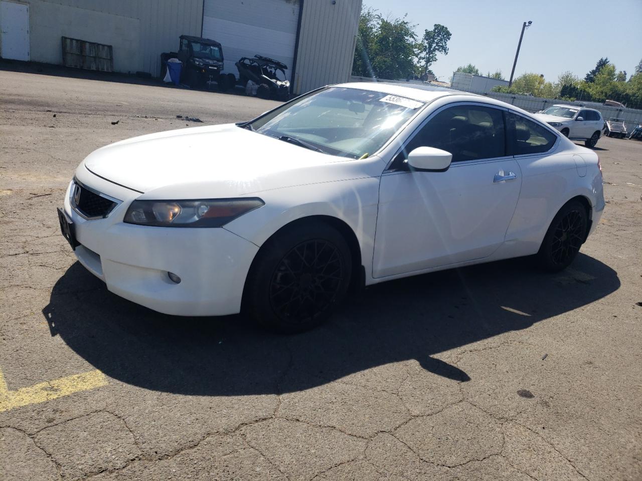 2009 Honda Accord Exl за продажба в Woodburn, OR - Minor Dent/Scratches