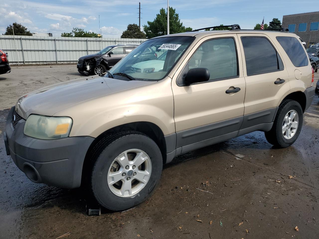 2007 Ford Escape Xlt იყიდება Littleton-ში, CO - Rear End