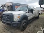 2012 Ford F450 Super Duty for Sale in Elgin, IL - Rear End