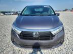 2023 Honda Odyssey Exl for Sale in Arcadia, FL - Front End