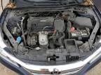 2017 Honda Accord Sport Special Edition for Sale in Elgin, IL - Side