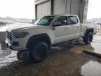 2023 Toyota Tacoma Double Cab   zu verkaufen in Fredericksburg, VA - Rear End
