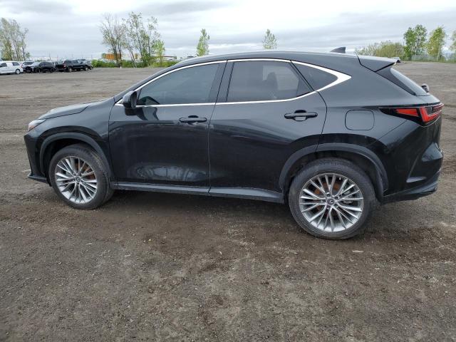 2023 LEXUS NX 350  