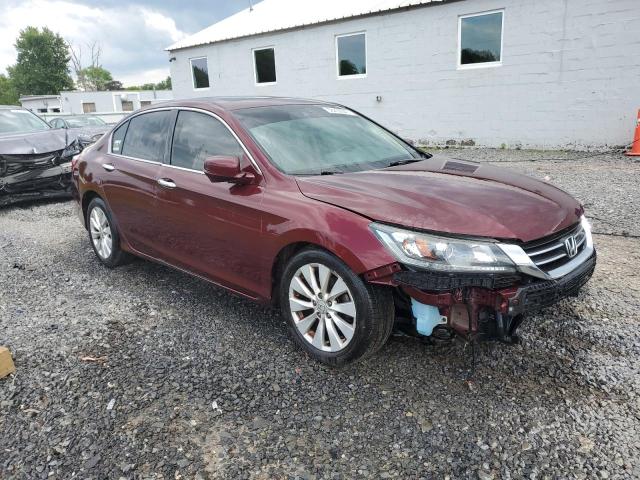  HONDA ACCORD 2013 Burgundy