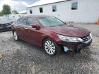 2013 Honda Accord Exl للبيع في Hillsborough، NJ - Front End
