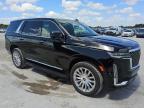 2023 Cadillac Escalade Premium Luxury en Venta en Homestead, FL - Normal Wear