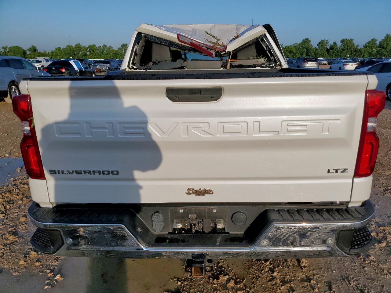 2021 Chevrolet Silverado C1500 Ltz VIN: 3GCPWEED1MG201963 Lot: 58863555