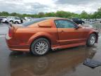 2006 Ford Mustang  for Sale in New Britain, CT - Side