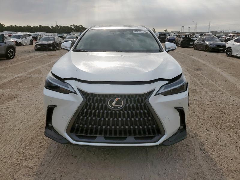  LEXUS NX 350 PRE 2024 Biały