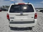 2010 Ford Escape Xlt for Sale in Greenwood, NE - Rear End
