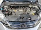 2007 Honda Cr-V Exl იყიდება West Warren-ში, MA - Rear End