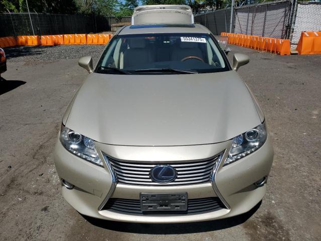  LEXUS ES300 2013 Gold