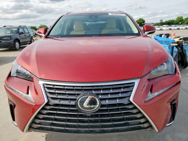  LEXUS NX 2019 Czerwony