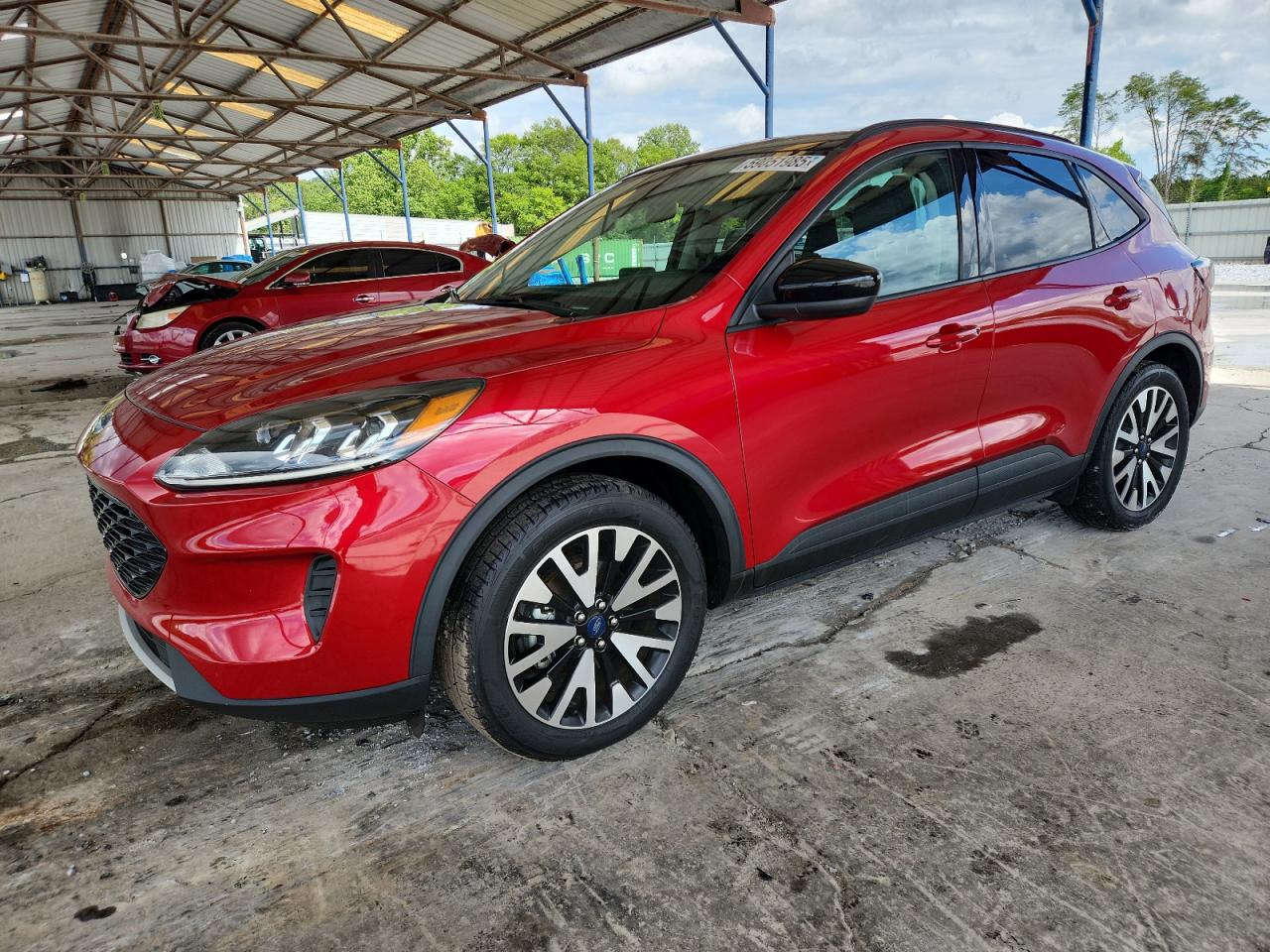 Cartersville, GA에서 판매 중인 2020 Ford Escape Se Sport - Rear End