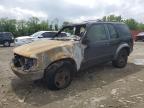 1998 Ford Explorer  en Venta en Baltimore, MD - Burn