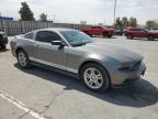 2010 Ford Mustang  for Sale in Anthony, TX - Rear End