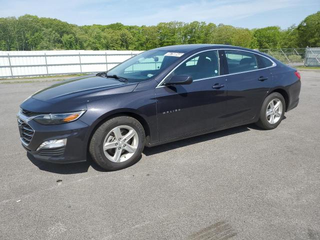  CHEVROLET MALIBU 2023 Gray