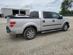 2013 Ford F150 Supercrew   na sprzedaż w Sikeston, MO - Front End