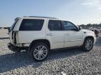 2014 Cadillac Escalade Platinum продається в Arcadia, FL - Rear End