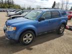 2010 FORD ESCAPE XLT for sale at Copart ON - TORONTO