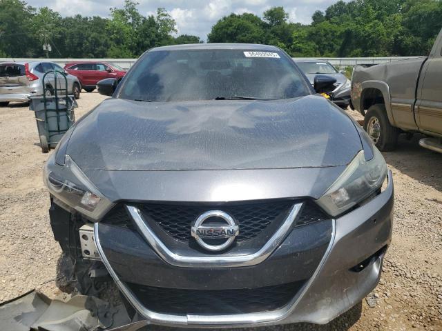  NISSAN MAXIMA 2018 Szary