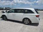 2014 Honda Odyssey Exl for Sale in West Palm Beach, FL - All Over