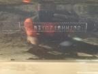 2002 Bayliner Runabout for Sale in Ham Lake, MN - Normal Wear
