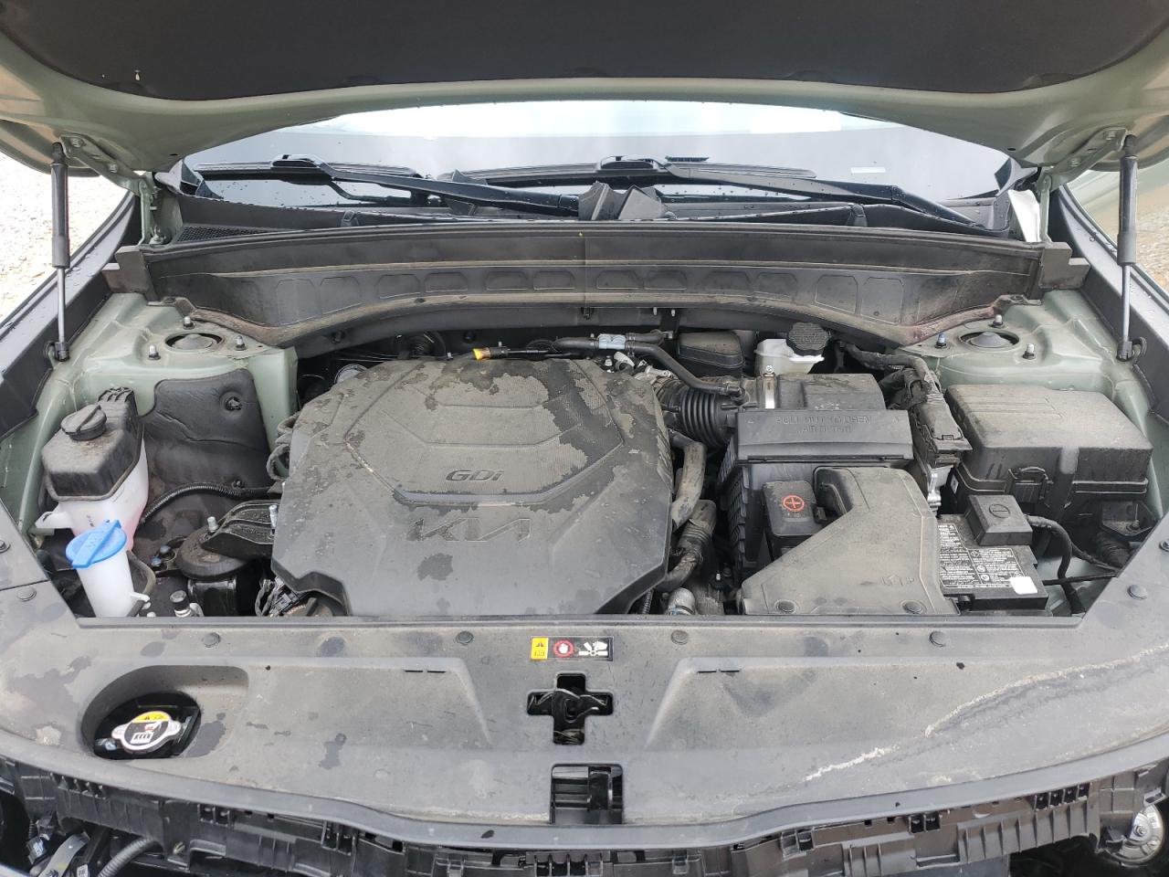 2024 Kia Telluride Sx VIN: 5XYP5DGCXRG500326 Lot: 55867255