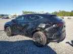 2025 Lexus Nx 250 Base продається в Apopka, FL - Rear End