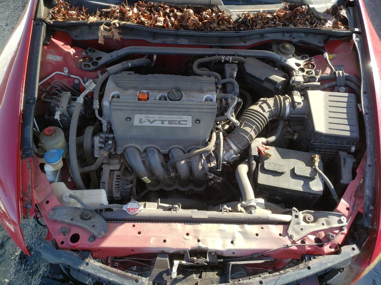 2009 Honda Accord Exl VIN: 1HGCS12849A021930 Lot: 56564445