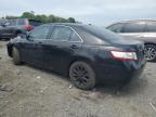 2010 Toyota Camry Hybrid იყიდება Assonet-ში, MA - Front End