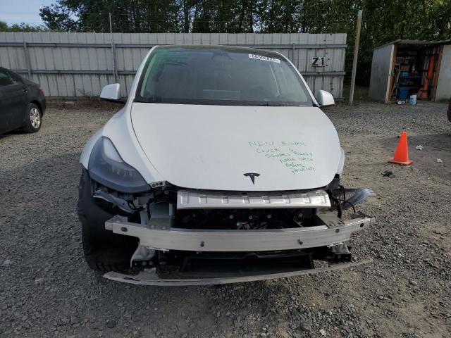  TESLA MODEL Y 2023 Biały