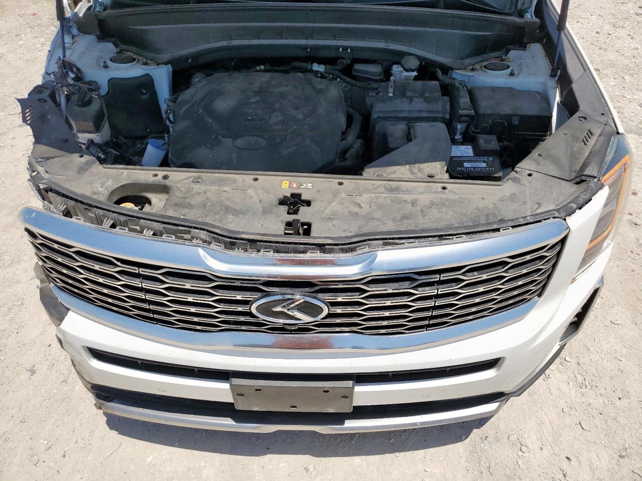 2020 Kia Telluride Sx VIN: 5XYP54HC9LG084193 Lot: 57148835