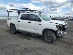 2020 Toyota Tundra Crewmax Sr5 للبيع في Airway Heights، WA - Front End