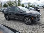 2025 Hyundai Tucson Limited на продаже в Wayland, MI - Rear End