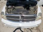 2004 Dodge Durango Limited en Venta en Jacksonville, FL - Minor Dent/Scratches
