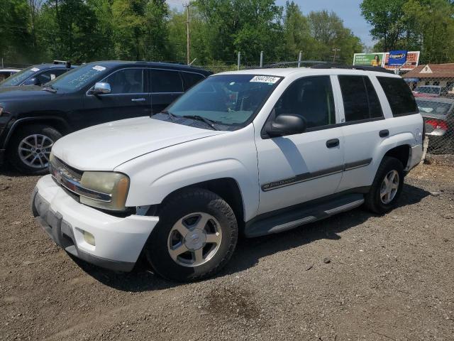 2002 Chevrolet Trailblazer 