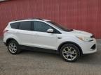 London, ON에서 판매 중인 2013 Ford Escape Sel - Mechanical