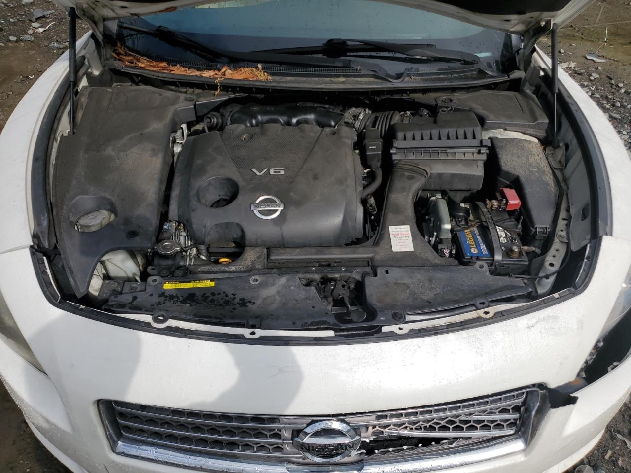 2009 Nissan Maxima S VIN: 1N4AA51EX9C841494 Lot: 56754145