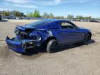 2013 FORD MUSTANG    for sale at Copart ON - TORONTO