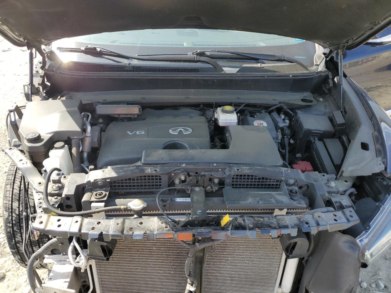 2019 Infiniti Qx60 Luxe VIN: 5N1DL0MM1KC556515 Lot: 56372365