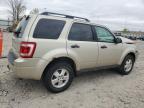 2012 Ford Escape Xlt for Sale in Appleton, WI - Front End