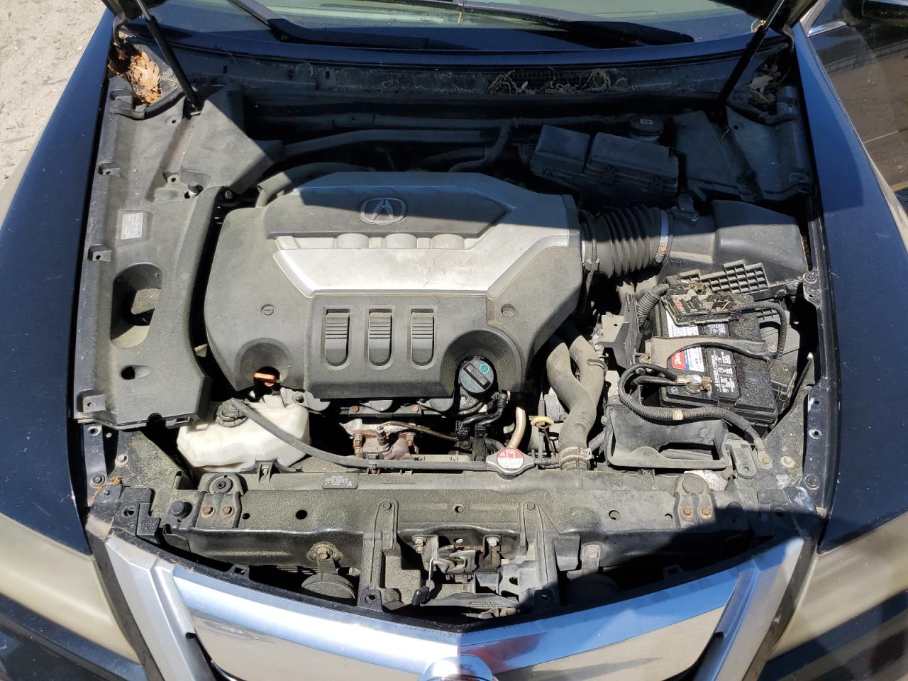 2009 Acura Rl VIN: JH4KB26699C001927 Lot: 55205225