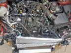 2024 FORD MAVERICK XLT for sale at Copart TX - DALLAS