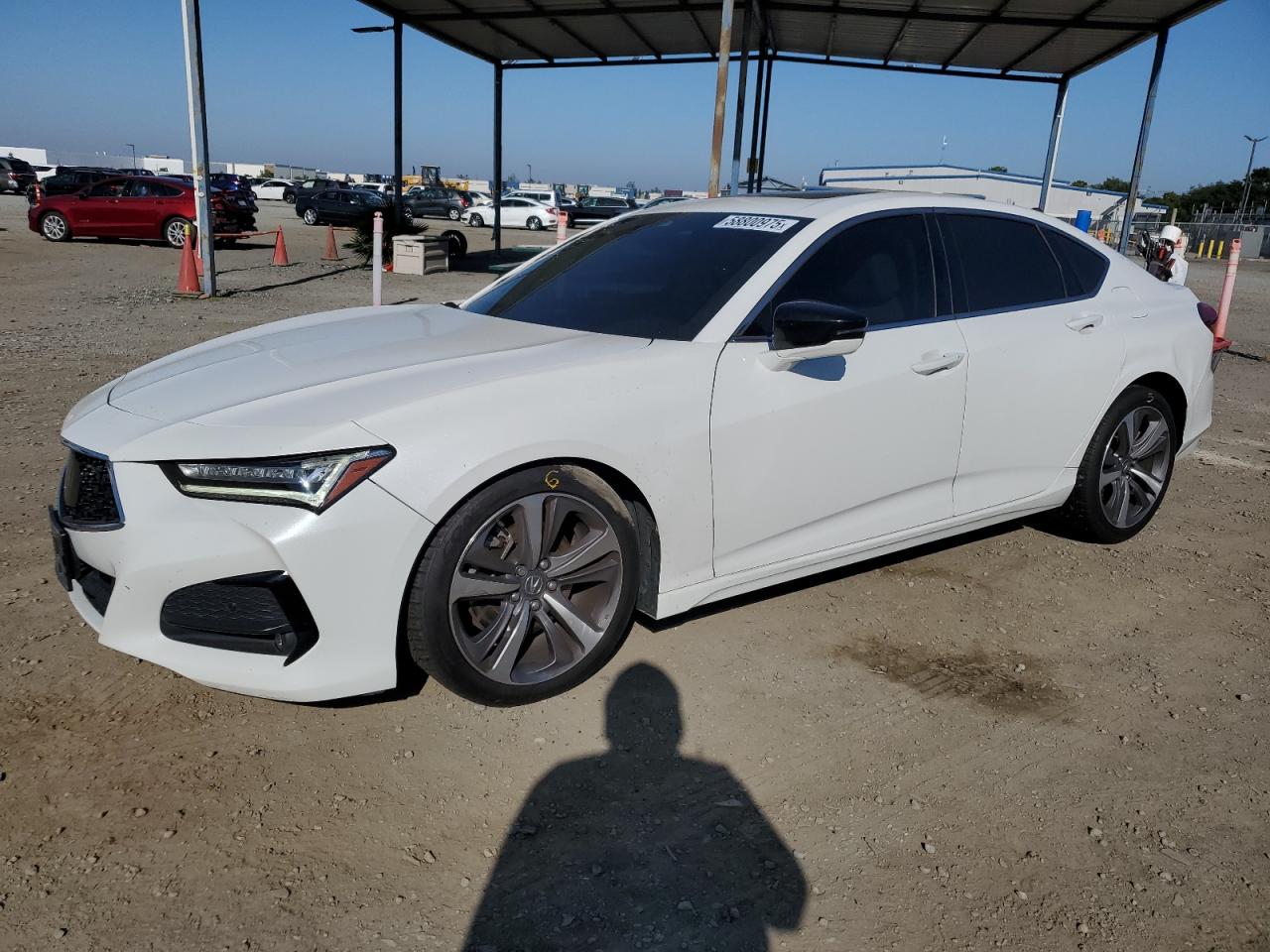 2021 Acura Tlx Advance