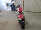 2004 Harley-Davidson Xl883 C for Sale in Madisonville, TN - Rear End