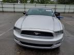 2013 Ford Mustang  for Sale in Moraine, OH - Front End