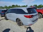 2024 Honda Odyssey Elite للبيع في Spartanburg، SC - Front End